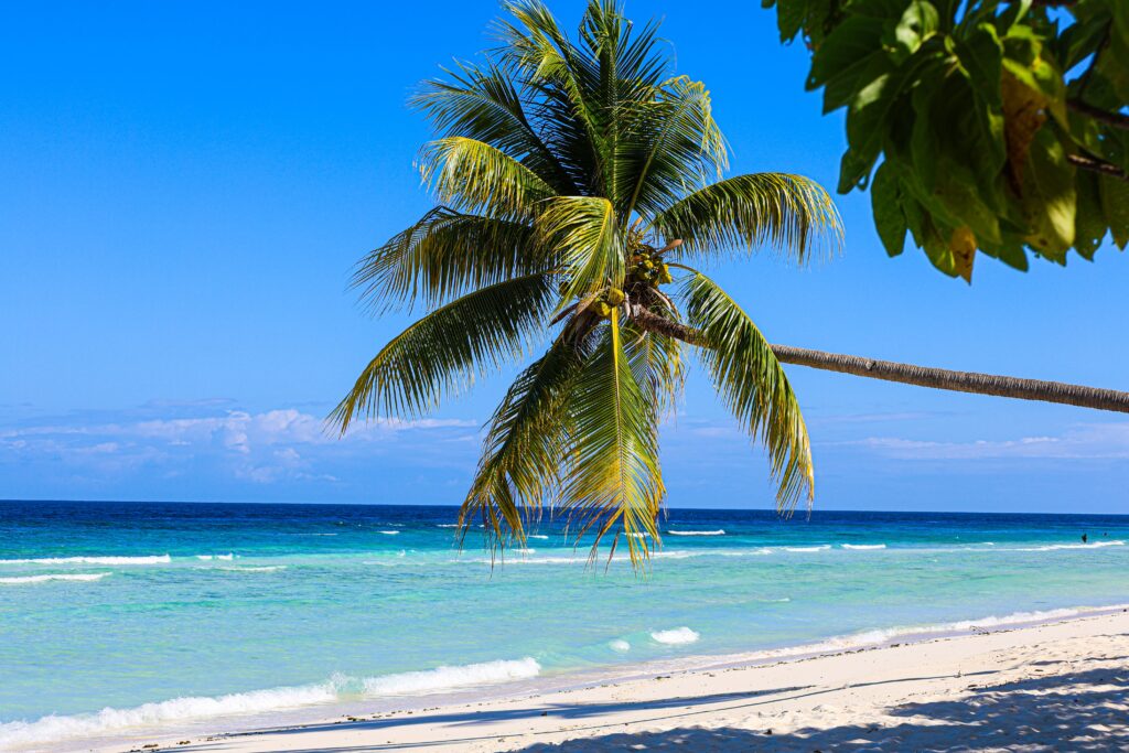 Breathtaking Andaman 8 Days, 7 Night- Standard