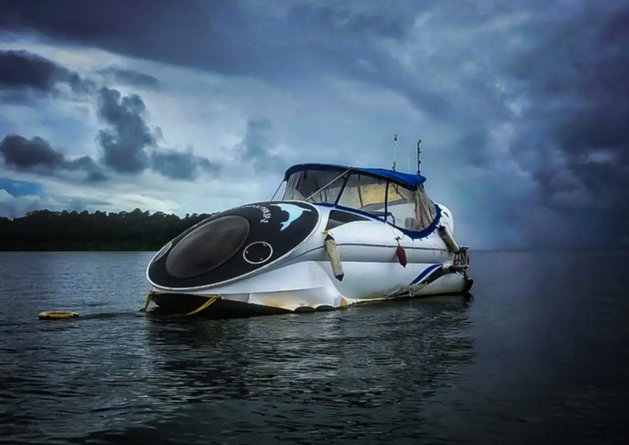 Dolphin Glass Bottom Boat Ride