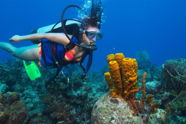 Scuba Diving in Andaman