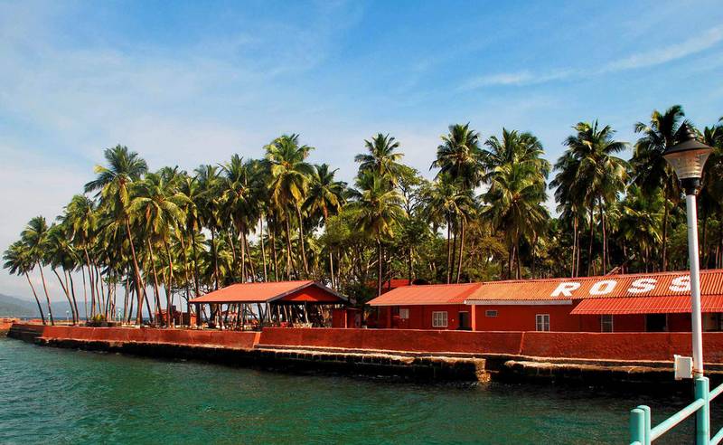 Ross Island Netaji Subhash Chandra Bose Dweep - deer