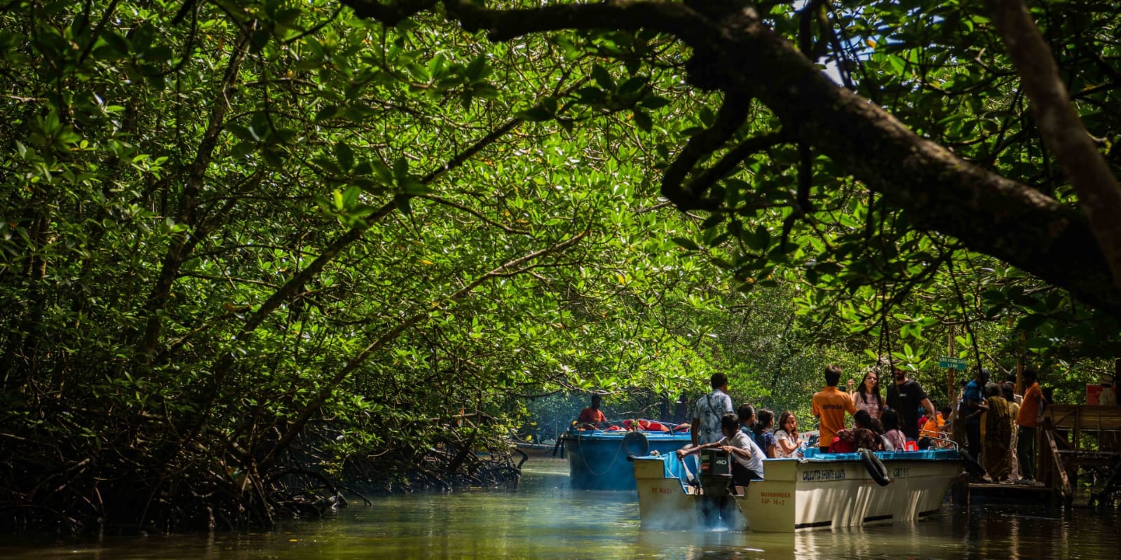 Baratang Island, Andaman