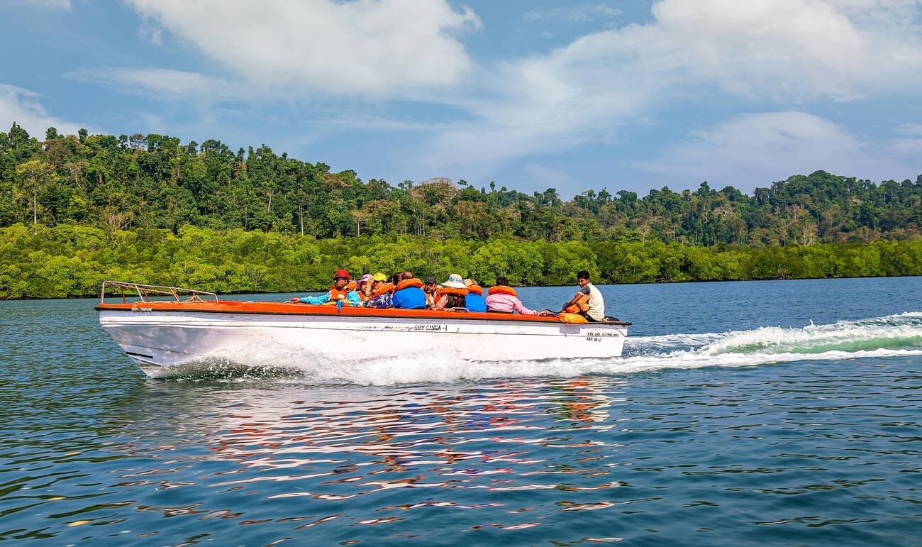 Boat ride through mangrove tunnels, Baratang Island