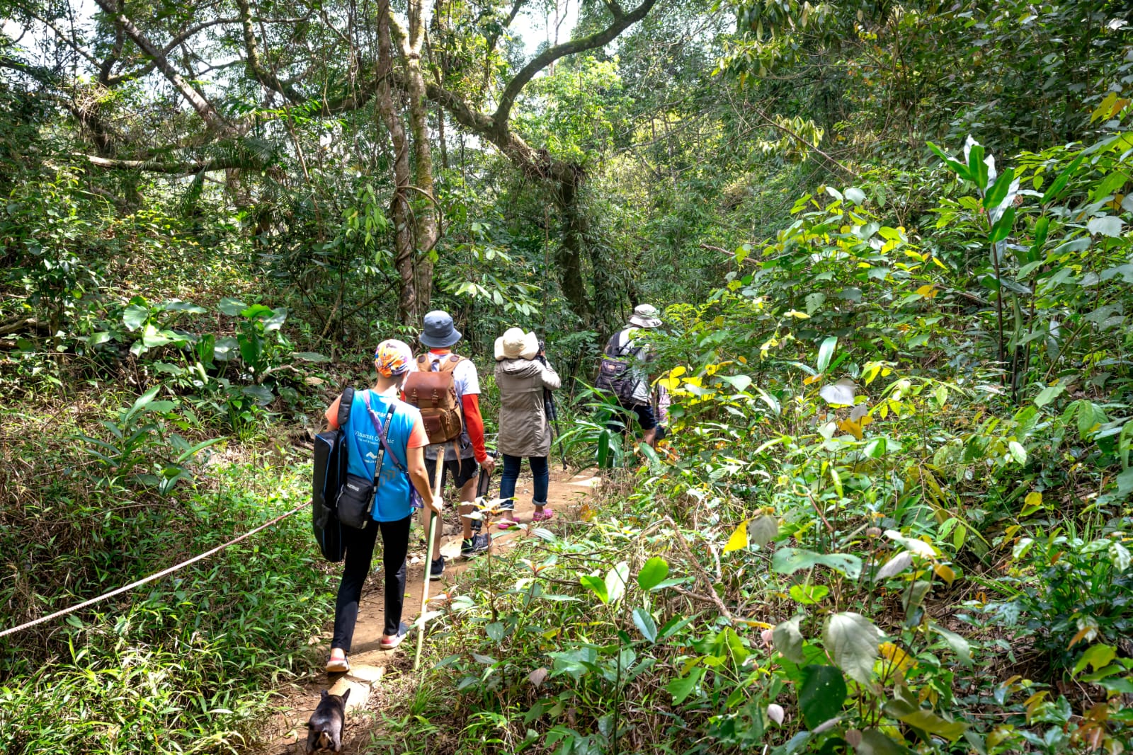 Mount Harriet to Madhuban trek
