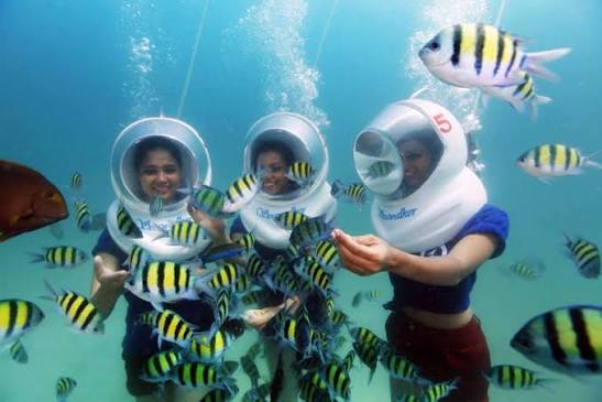 Sea Walking gallery in Havelock