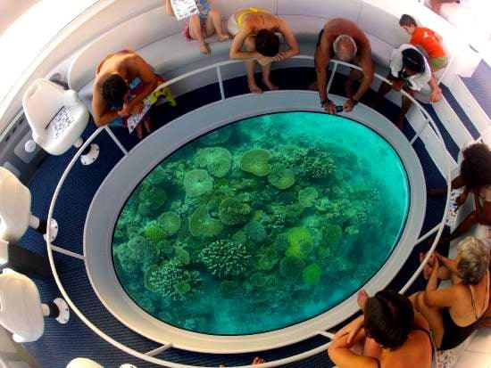 Dolphin glass bottom boat trip route