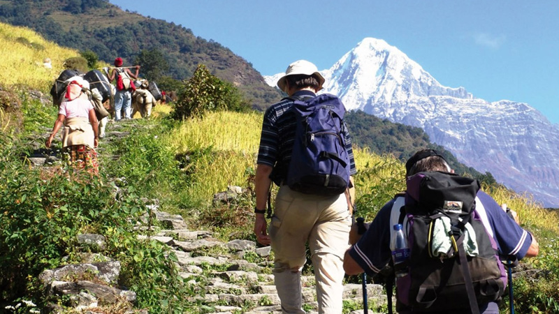 Trekking in Andaman with Travel Log Holidays