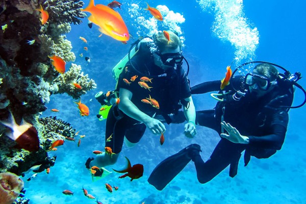 Scuba diving overview in Andaman