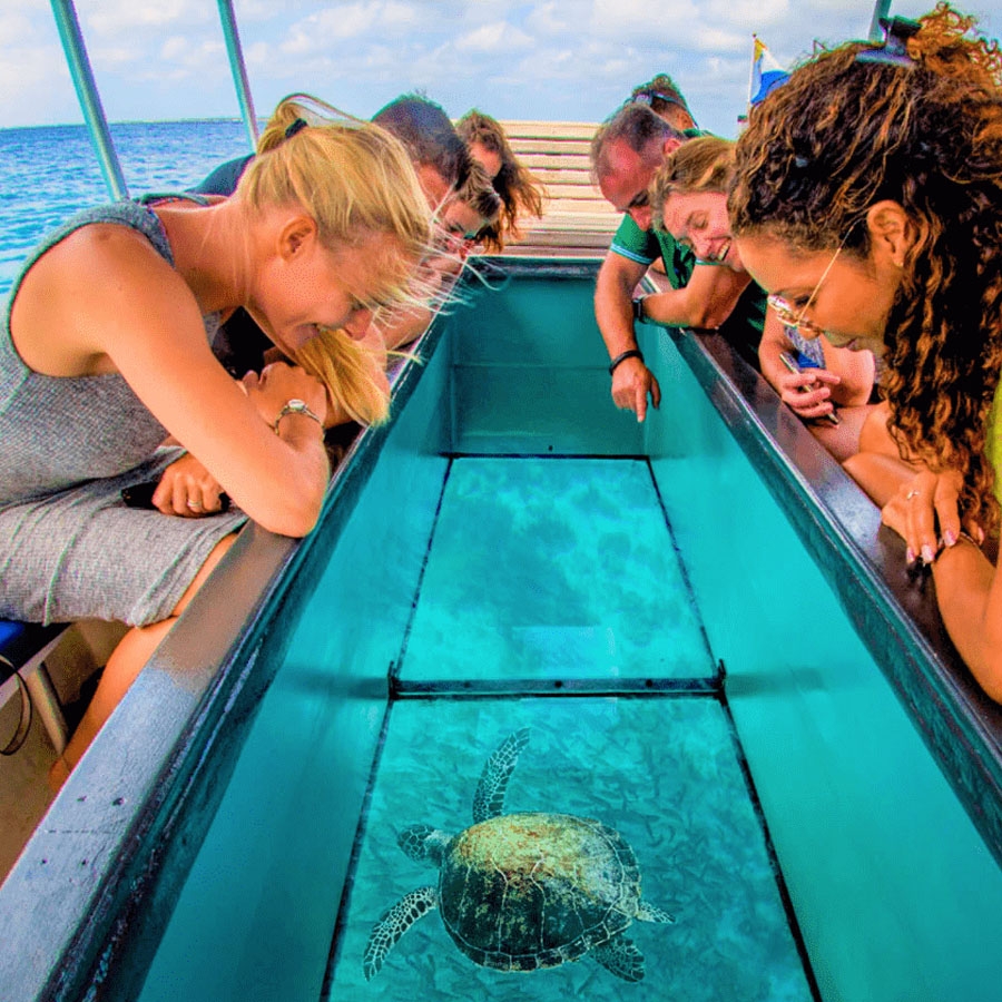 Dolphin glass bottom boat safety Andaman